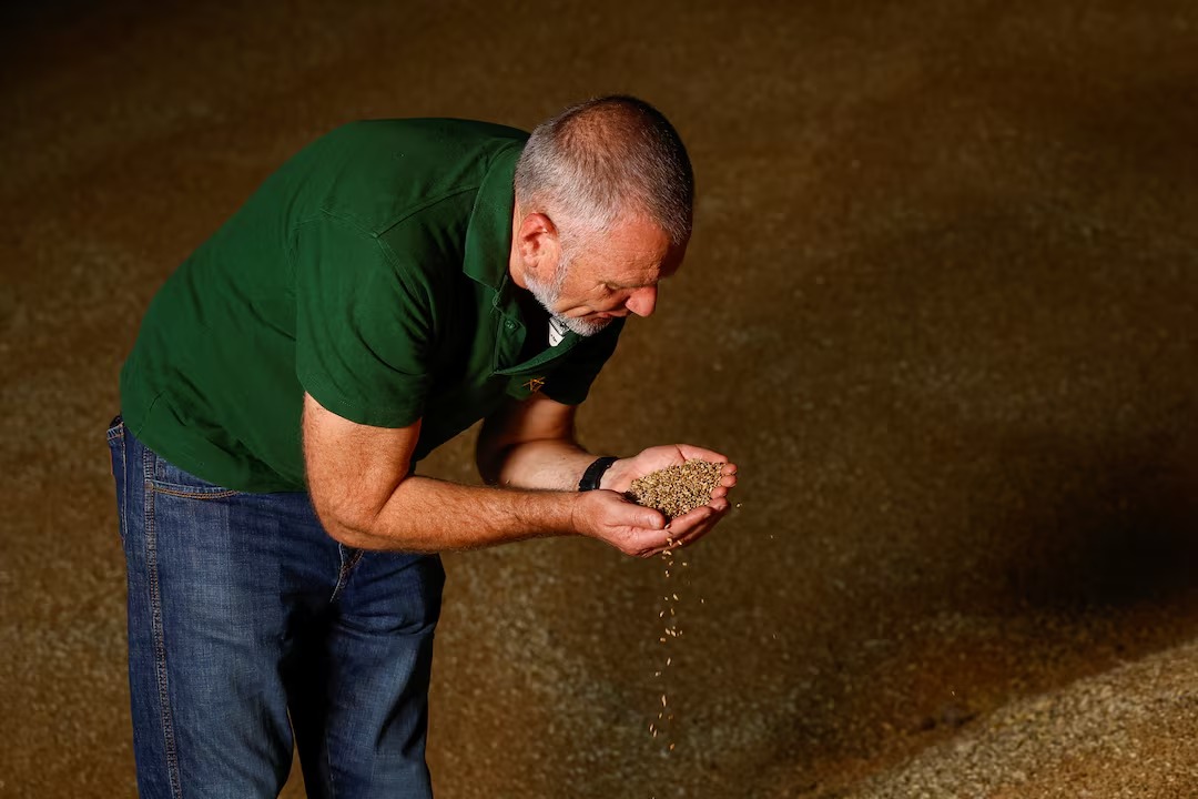 Ukraine's farmers despair as Russia's Black Sea blockade traps their harvest

