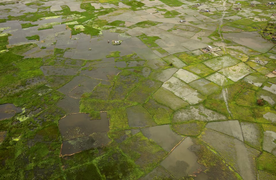 Africa facing $10-$20 billion economic hit from 'super' El Niño, AfDB climate chief warns
